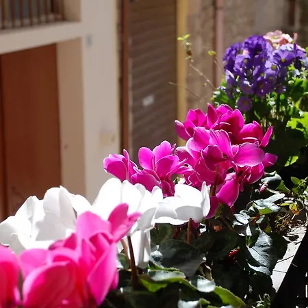 度假居 Antiche In Pietra *